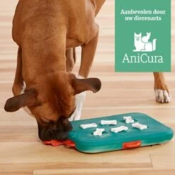 Nina Ottosson Dog Casino - Turquoise/Oranje - 31,5 X 26 X 4,5 Cm -Hondenartikelen Serie Winkel 1200x1193 16