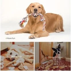 Nobleza Hondentouw - Speeltouw Hond - Flostouw Hond - Trektouw Hond - Lang - Geknoopt 13 Nobleza Hondentouw - Speeltouw Hond - Flostouw Hond - Trektouw Hond - Lang - Geknoopt -Hondenartikelen Serie Winkel 1200x1193 17