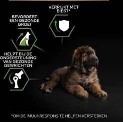 Pro Plan Healthy Start Puppy Large Robust - Honden Droogvoer - Kip - 12 Kg -Hondenartikelen Serie Winkel 1200x1194