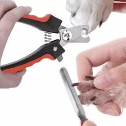 Merkloos Professionele Nagelschaar - Dieren Nagelschaar - Rood & Zwart - Honden Nagelknipper - Hondennagels - Honden Knip Schaar - Honden Knipsch 12 Merkloos Professionele Nagelschaar - Dieren Nagelschaar - Rood & Zwart - Honden Nagelknipper - Hondennagels - Honden Knip Schaar - Honden Knipsch -Hondenartikelen Serie Winkel 1200x1195 13