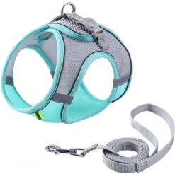 Hondentuigje Voor Kleine Puppy's & Kleine Honden - Blauw - Maat M -Hondenartikelen Serie Winkel 1200x1195 23