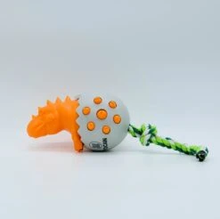 TocaDino - Kauwspeelgoed - Honden - Speelgoed Voor Honden - Reiniging - Dental - Blauw -Hondenartikelen Serie Winkel 1200x1195 28