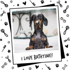 Bugalugs - Hondenshampoo - One In A Million - Alle Vachttypes - Fles Met Pompje - Vegan - 500 Ml -Hondenartikelen Serie Winkel 1200x1196 13