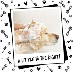 Bugalugs - Hondenshampoo - One In A Million - Alle Vachttypes - Fles Met Pompje - Vegan - 500 Ml -Hondenartikelen Serie Winkel 1200x1197 20