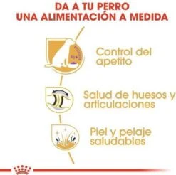 Royal Canin Labrador Retriever Sterilised 12 KG -Hondenartikelen Serie Winkel 1200x1197