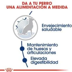 Royal Canin Maxi Ageing 8+ 15 KG 25 Royal Canin Maxi Ageing 8+ 15 KG -Hondenartikelen Serie Winkel 1200x1197 3