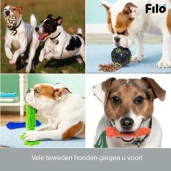 Filo Honden Speelgoed Set 14 Stuks - Hondenspeeltjes Knuffel - Hondenbal - Flostouw - Bot - Frisbee - Hondentouw - Hondenspeelgoed Intelligentie - Kauwspeelgoed Hond En Puppy - Bijtspeelgoed Hondenknuffel - Hondenspeeltje Met Piep -Hondenartikelen Serie Winkel 1200x1197 39