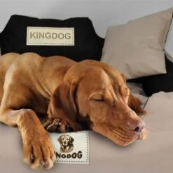 KingDog - Groot Honden- En Kattenbed 75 X 65 | Donkergrijs - Maat M -Hondenartikelen Serie Winkel 1200x1198 13