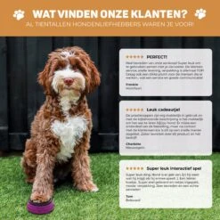 Vulpes Pets® PRO Praatknop Voor Honden - Dogbuttons - Laat Uw Huisdier Spreken - Hondenspeelgoed - Honden Training - Incl. E-Book & Trainingsstickers 22 Vulpes Pets® PRO Praatknop Voor Honden - Dogbuttons - Laat Uw Huisdier Spreken - Hondenspeelgoed - Honden Training - Incl. E-Book & Trainingsstickers -Hondenartikelen Serie Winkel 1200x1198 46