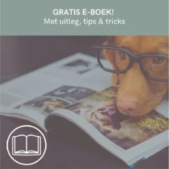 Comfort Company Praatknop Hond | Dogbuttons – Honden Speelgoed | Honden Speelgoed Intelligentie | 4 Stuks | Agility Voor De Hond | 30 Seconden Opnamen | Honden Training -Hondenartikelen Serie Winkel 1200x1198 48