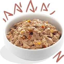 11x Edgard & Cooper Kuipje Vers Vlees Senior Hondenvoer Kip - Zalm 150 Gr -Hondenartikelen Serie Winkel 1200x1198 5