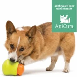 West Paw Toppl Zogoflex - Uitdagend En Sterk Speelgoed Voor Honden - Slowfeeder - Vulbaar Met Voer Of Snacks - Kleur: Groen, Maat: Large 31 West Paw Toppl Zogoflex - Uitdagend En Sterk Speelgoed Voor Honden - Slowfeeder - Vulbaar Met Voer Of Snacks - Kleur: Groen, Maat: Large -Hondenartikelen Serie Winkel 1200x1198 53
