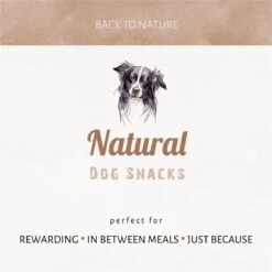 Antos Kippenpoten Gedroogd Kip 1 Kg -Hondenartikelen Serie Winkel 1200x1199 12