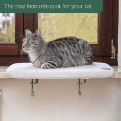 Pfotenolymp® Premium Window Baars/Krabmat Voor Katten Bij Het Raam - Vensterbank/Kattenbank Voor De Vensterbank - Zit/Ligstoel Voor Katten -Hondenartikelen Serie Winkel 1200x1199 21