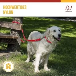Happilax Dog Leash 2m Adjustable - Red / Reflective - 3-Step Adjustable Leash - Double Leash, Tug Leash - Geschikt Als Hondenriem Voor Grote Honden Of Als Sleepriem Voor Kleine Honden. -Hondenartikelen Serie Winkel 1200x1199 41