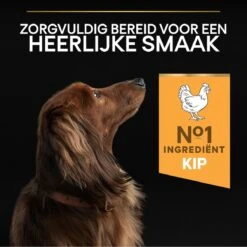 Pro Plan Everyday Nutrition Adult Small & Mini - Honden Droogvoer - Kip - 3 Kg -Hondenartikelen Serie Winkel 1200x1199 5