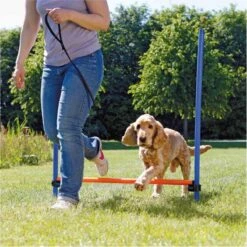 Trixie Dog Activity Agility Horde - Blauw/Oranje - 123 X 115 X 3 Cm -Hondenartikelen Serie Winkel 1200x1199 54
