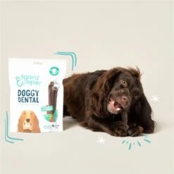 Edgard & Cooper Doggy Dental Sticks Appel - Eucalyptusolie Medium -Hondenartikelen Serie Winkel 1200x1199 8