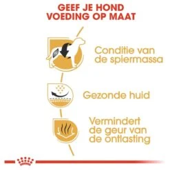 Royal Canin French Bulldog Adult 9 KG 17 Royal Canin French Bulldog Adult 9 KG -Hondenartikelen Serie Winkel 1200x1200 103