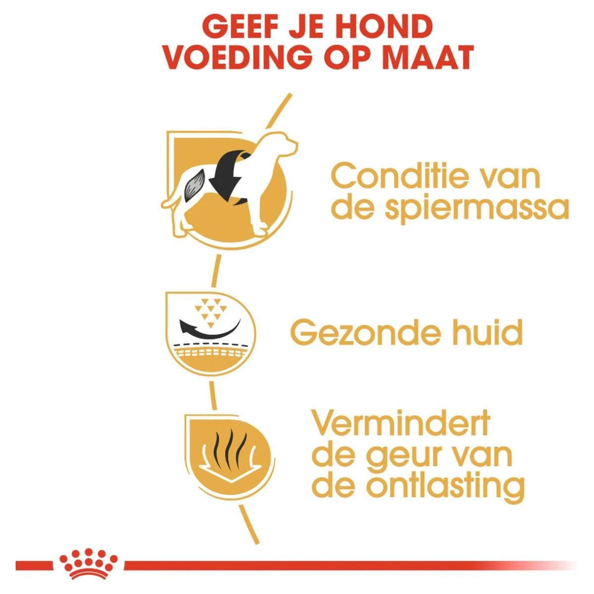 Royal Canin French Bulldog Adult 9 KG 6 Royal Canin French Bulldog Adult 9 KG - Afbeelding 4