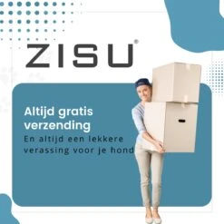 Hondentondeuse - Hondentrimmer - Dieren Tondeuse - Draadloos - 4 Opzetkammen - INCLUSIEF SNACKJE - Zwart -Hondenartikelen Serie Winkel 1200x1200 1036