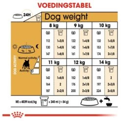 Royal Canin French Bulldog Adult 9 KG 20 Royal Canin French Bulldog Adult 9 KG -Hondenartikelen Serie Winkel 1200x1200 104