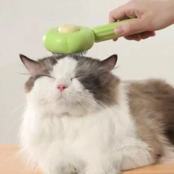 QT Petshop - Haarverwijderaar Voor Huisdieren - Groene Kattenborstel - Furminator Hondenborstel - Anti-Klit - Diervriendelijk - Dierenverzorging 13 QT Petshop - Haarverwijderaar Voor Huisdieren - Groene Kattenborstel - Furminator Hondenborstel - Anti-Klit - Diervriendelijk - Dierenverzorging -Hondenartikelen Serie Winkel 1200x1200 1081