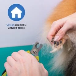 Professionele Nagelschaar - Dieren Nagelschaar - Honden Nagelknipper - Hondennagels - Honden Knip Schaar - Honden Knipschaar - Nageltang - Katten Schaar - Katten Nagelknipper - Met Veiligheidsstop En Nagelvijl - Poot Verzorging -Hondenartikelen Serie Winkel 1200x1200 1111