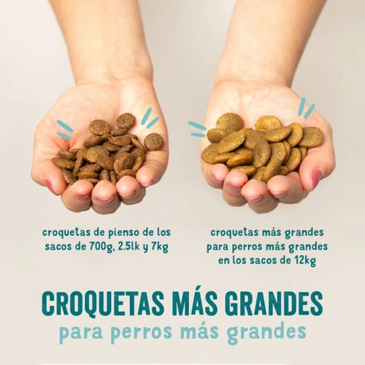 Edgard & Cooper Verse Scharrelkip Adult - Hondenvoer - 7kg 14 Edgard & Cooper Verse Scharrelkip Adult - Hondenvoer - 7kg - Afbeelding 12