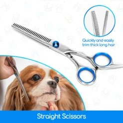 Nobleza Vachtscharen En Kam Set - Scharen Set - Vachtverzorging Set - Scharen Set Voor Honden En Katten 13 Nobleza Vachtscharen En Kam Set - Scharen Set - Vachtverzorging Set - Scharen Set Voor Honden En Katten -Hondenartikelen Serie Winkel 1200x1200 1127