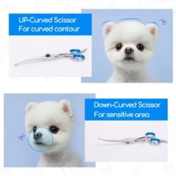 Nobleza Vachtscharen En Kam Set - Scharen Set - Vachtverzorging Set - Scharen Set Voor Honden En Katten 14 Nobleza Vachtscharen En Kam Set - Scharen Set - Vachtverzorging Set - Scharen Set Voor Honden En Katten -Hondenartikelen Serie Winkel 1200x1200 1128