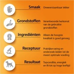 Fokker Hondenvoer Regular K9 20 Kg 12 Fokker Hondenvoer Regular K9 20 Kg -Hondenartikelen Serie Winkel 1200x1200 113