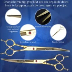 Scharenset Hond - 8-Delige Scharenset - Hondenschaar - Trimset - Trimschaar Voor Honden - Huisdier Knipset - Effileerschaar Hond - Goud 12 Scharenset Hond - 8-Delige Scharenset - Hondenschaar - Trimset - Trimschaar Voor Honden - Huisdier Knipset - Effileerschaar Hond - Goud -Hondenartikelen Serie Winkel 1200x1200 1136