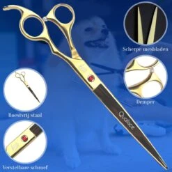 Scharenset Hond - 8-Delige Scharenset - Hondenschaar - Trimset - Trimschaar Voor Honden - Huisdier Knipset - Effileerschaar Hond - Goud 16 Scharenset Hond - 8-Delige Scharenset - Hondenschaar - Trimset - Trimschaar Voor Honden - Huisdier Knipset - Effileerschaar Hond - Goud -Hondenartikelen Serie Winkel 1200x1200 1139