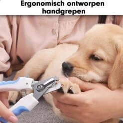 Professionele Nagelschaar|Nagelschaar Hond | Nagelschaar Kat| Nagelknipper Hond En Kat| Nagelknipper Kat| Nagelknipper Hond|NagelTang Dieren|Poot Verzorging -Hondenartikelen Serie Winkel 1200x1200 1143