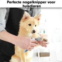 Professionele Nagelschaar|Nagelschaar Hond | Nagelschaar Kat| Nagelknipper Hond En Kat| Nagelknipper Kat| Nagelknipper Hond|NagelTang Dieren|Poot Verzorging -Hondenartikelen Serie Winkel 1200x1200 1145