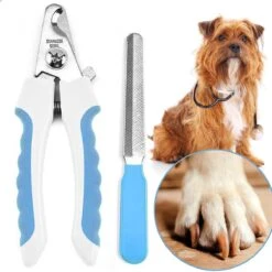 Professionele Nagelschaar|Nagelschaar Hond | Nagelschaar Kat| Nagelknipper Hond En Kat| Nagelknipper Kat| Nagelknipper Hond|NagelTang Dieren|Poot Verzorging -Hondenartikelen Serie Winkel 1200x1200 1148