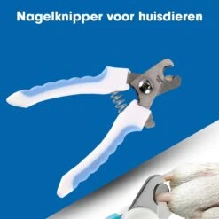 Professionele Nagelschaar|Nagelschaar Hond | Nagelschaar Kat| Nagelknipper Hond En Kat| Nagelknipper Kat| Nagelknipper Hond|NagelTang Dieren|Poot Verzorging -Hondenartikelen Serie Winkel 1200x1200 1150