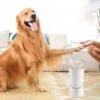 Hondenpoten Reiniger - Wasser - Hond – Pet Paw Washer – Hondenborstel – Honden Borstel - Verzorging -Hondenartikelen Serie Winkel 1200x1200 1163