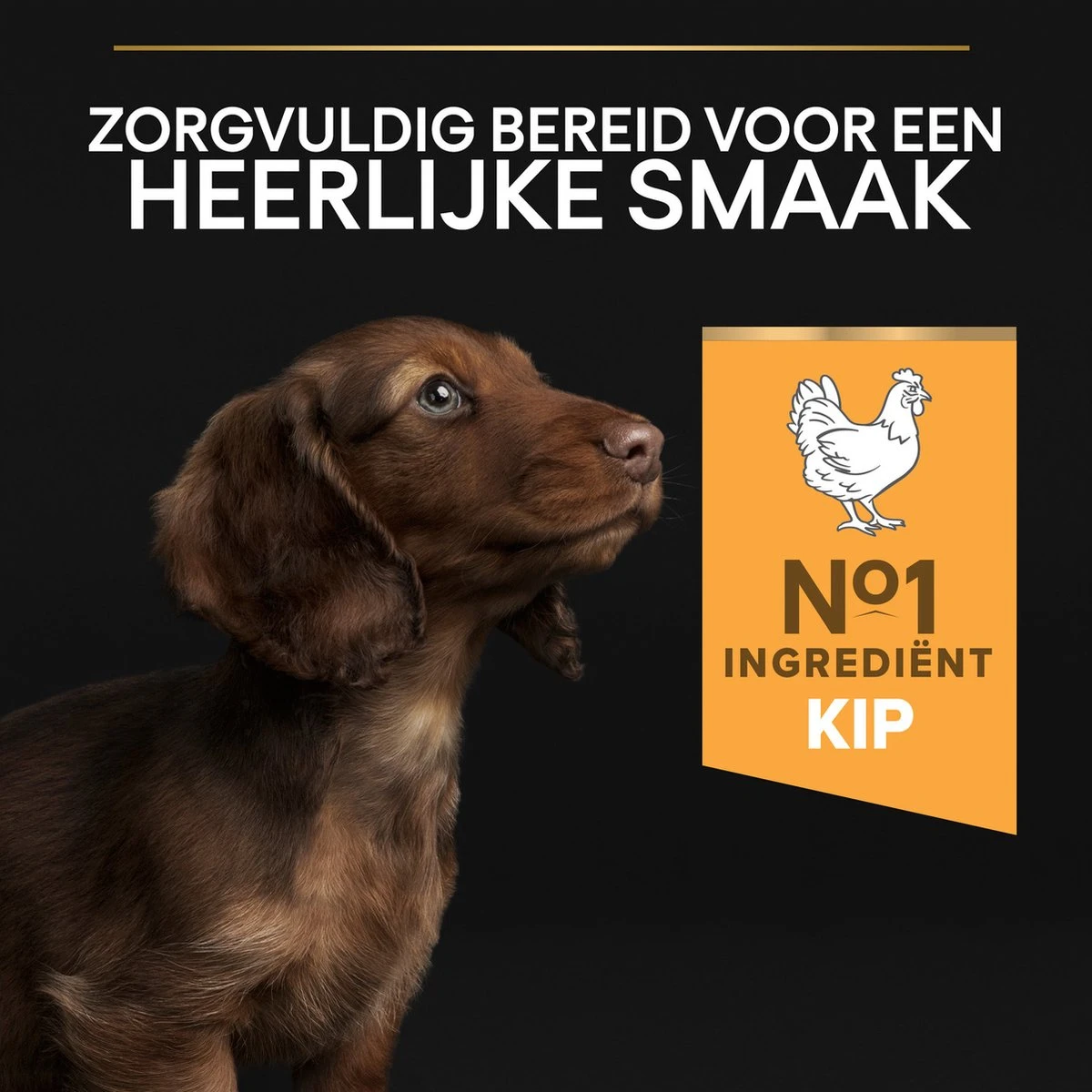 Pro Plan Healthy Start Puppy Small & Mini - Honden Droogvoer - Kip - 3 Kg 14 Pro Plan Healthy Start Puppy Small & Mini - Honden Droogvoer - Kip - 3 Kg - Afbeelding 12