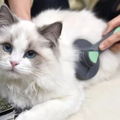 Pakeway Kattenborstel – Hondenborstel – Haarverwijderaar Voor Huisdieren – Kattenkam - Kortharig - Langharig - Inclusief Ebook! -Hondenartikelen Serie Winkel 1200x1200 1216