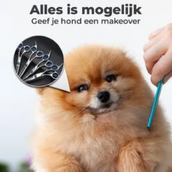 VoordeelShop 7-Delige Huisdier Knipset Met Etui - Trimmen Hond - Honden Schaar - Effileerschaar Hond - Huisdier Trimmer - Huisdier Knippen - Knipschaar Haar - Haar Schaar - Kapper - Kapperset - Scharenset -Hondenartikelen Serie Winkel 1200x1200 1227