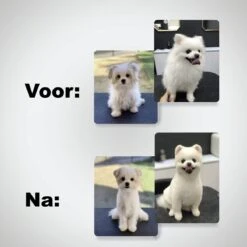 VoordeelShop 7-Delige Huisdier Knipset Met Etui - Trimmen Hond - Honden Schaar - Effileerschaar Hond - Huisdier Trimmer - Huisdier Knippen - Knipschaar Haar - Haar Schaar - Kapper - Kapperset - Scharenset -Hondenartikelen Serie Winkel 1200x1200 1232