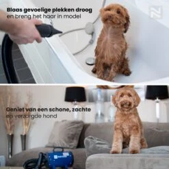 Nuvoo Professionele Hondenföhn / Waterblazer / Hondenborstel Met 3 Opzetstukken - Verstelbare Vermogen Tot 2200W - Warme / Koude Stand - Rood -Hondenartikelen Serie Winkel 1200x1200 1237