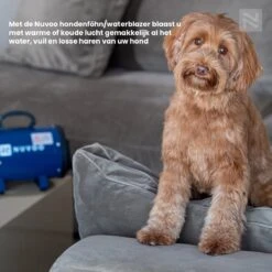 Nuvoo Professionele Hondenföhn / Waterblazer / Hondenborstel Met 3 Opzetstukken - Verstelbare Vermogen Tot 2200W - Warme / Koude Stand - Rood -Hondenartikelen Serie Winkel 1200x1200 1239