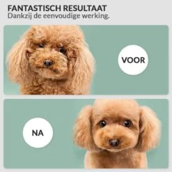 Krachtige Hondenföhn/ Waterblazer Met Draaiknop Om Overtollig Water En Stof Snel Uit De Vacht Te Blazen | Verstelbare Vermogen Standen (500W Tot 2200W) En Verstelbare Temperatuur - Type B Oranje -Hondenartikelen Serie Winkel 1200x1200 1241