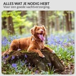 Krachtige Hondenföhn/ Waterblazer Met Draaiknop Om Overtollig Water En Stof Snel Uit De Vacht Te Blazen | Verstelbare Vermogen Standen (500W Tot 2200W) En Verstelbare Temperatuur - Type B Oranje -Hondenartikelen Serie Winkel 1200x1200 1242