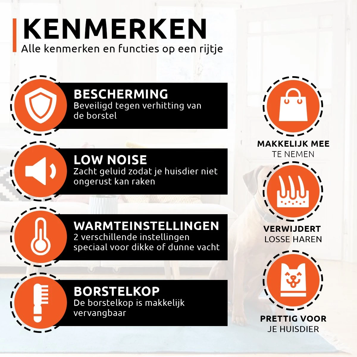 PetGoods 2-in-1 Hondenföhn – Föhn & Borstel - Honden & Katten - Low Noise 4 PetGoods 2-in-1 Hondenföhn – Föhn & Borstel - Honden & Katten - Low Noise - Afbeelding 2