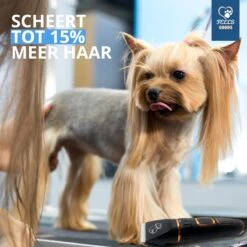 YE™ Professionele Dieren/honden Tondeuse Set Extra Krachtig - Honden Trimmer - Lang Of Kortharige Huisdieren Katten & Honden - Draadloos - Weinig Geluid -Hondenartikelen Serie Winkel 1200x1200 1262