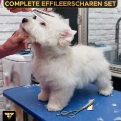 Toivo Schaar Voor Dieren - Zilver - Effileerscharen - Honden Scharenset - Dierenschaar - Set 5 Stuks - Trimscharen - Trimset - Uitdunschaar Hond - Schaar Honden 13 Toivo Schaar Voor Dieren - Zilver - Effileerscharen - Honden Scharenset - Dierenschaar - Set 5 Stuks - Trimscharen - Trimset - Uitdunschaar Hond - Schaar Honden -Hondenartikelen Serie Winkel 1200x1200 1266